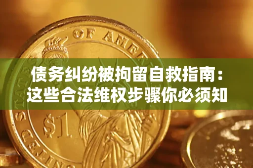 济南债务纠纷被拘留自救指南：这些合法维权步骤你必须知道！