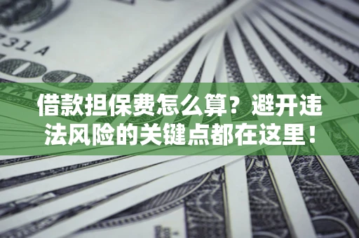 济南借款担保费怎么算？避开违法风险的关键点都在这里！