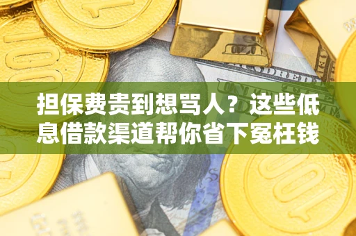 济南担保费贵到想骂人？这些低息借款渠道帮你省下冤枉钱