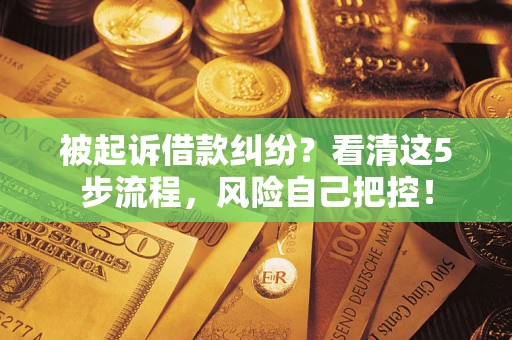 济南被起诉借款纠纷？看清这5步流程，风险自己把控！